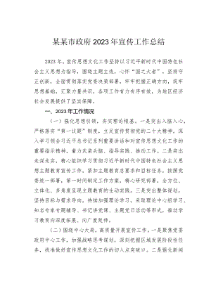 某某市政府2023年宣传工作总结.docx