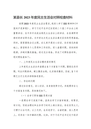 某县长2023年度民主生活会对照检查材料.docx