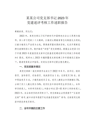 某某公司党支部书记2023年党建述评考核工作述职报告.docx