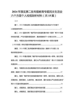 2024年落实第二批专题教育专题民主生活会六个方面个人检视剖析材料最新版15篇合辑.docx