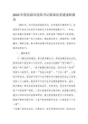 2023年度民政局党组书记抓基层党建述职报告.docx