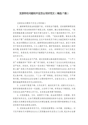 支部存在问题和不足怎么写好范文(精选7篇).docx