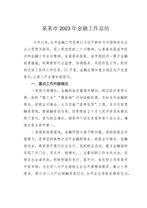 某某市2023年金融工作总结.docx