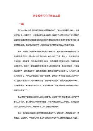 党支部学习心得体会三篇.docx