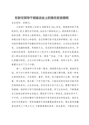 在新任领导干部座谈会上的表态发言提纲.docx