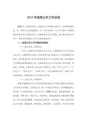 2023年政务公开工作总结(20240105).docx