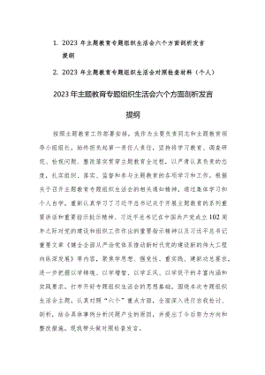 2023年主题教育专题组织生活会个人六个方面检视剖析发言提纲范文2篇.docx