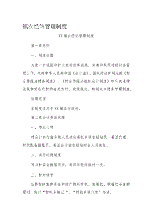 镇农经站管理制度.docx