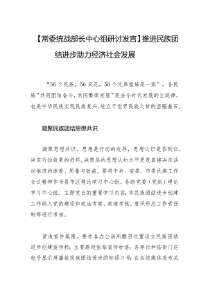 推进民族团结进步+助力经济社会发展.docx