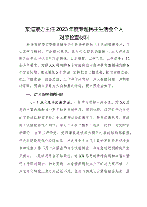 某巡察办主任2023年度专题民主生活会个人对照检查材料.docx