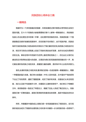 民族团结心得体会三篇.docx