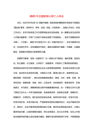2023年主题教育心得个人体会.docx