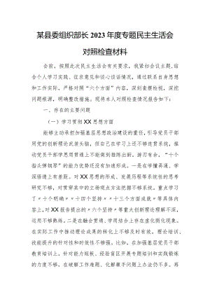 某县委组织部长2023年度专题民主生活会对照检查材料.docx