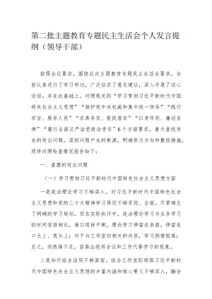 第二批主题教育专题民主生活会个人发言提纲（领导干部）.docx