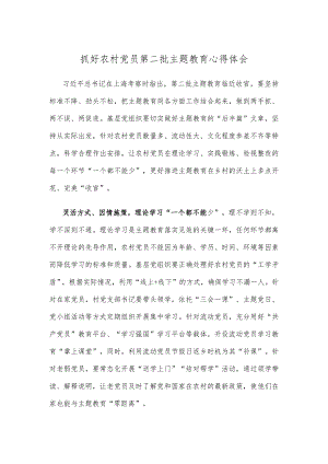 抓好农村党员第二批主题教育心得体会.docx