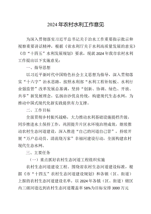 2024年农村水利工作意见.docx