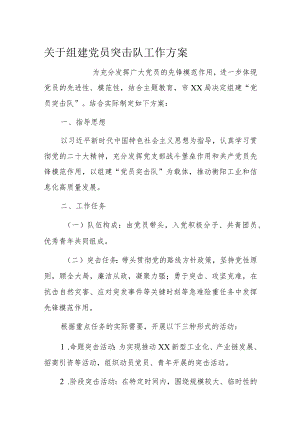 关于组建党员突击队工作方案.docx