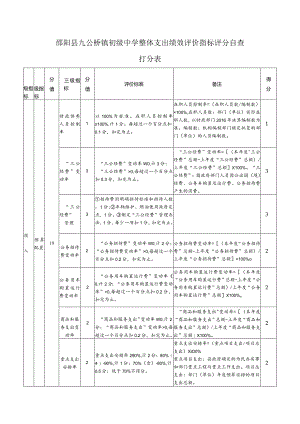 邵阳县九公桥镇初级中学整体支出绩效评价指标评分自查打分表.docx
