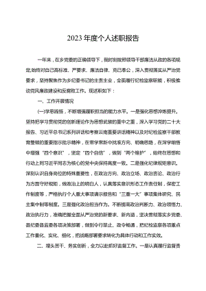 2023年度个人述职报告.docx