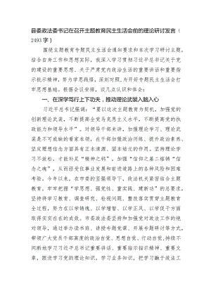 （会前）县委政法委书记在召开主题教育民主生活会前的理论研讨发言.docx