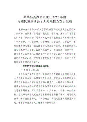 某某县委办公室主任2023年度专题民主生活会个人对照检查发言提纲.docx
