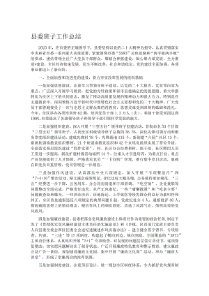 县委班子工作总结.docx