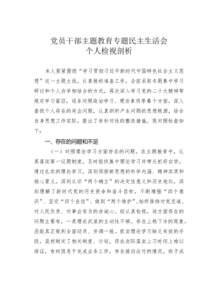 党员干部主题教育专题民主生活会个人检视剖析材料.docx