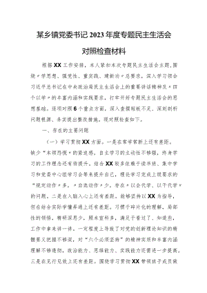 某乡镇党委书记2023年度专题民主生活会对照检查材料.docx