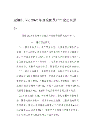 党组织书记2023年度全面从严治党述职报告.docx