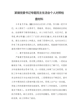 某镇党委书记专题民主生活会个人对照检查材料.docx