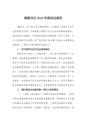 镇委副书记镇长2023年度述法报告八篇.docx