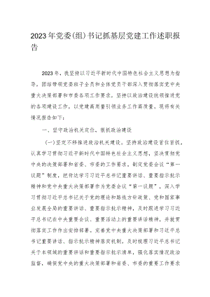 2023年党委（组）书记抓基层党建工作述职报告.docx