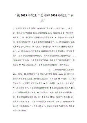 -镇2023年度工作总结和2024年度工作安排-.docx