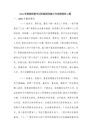 2024年某镇党委书记抓基层党建工作述职报告2篇.docx