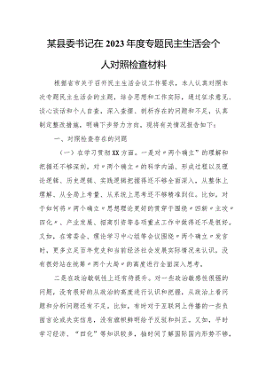 某县委书记在2023年度专题民主生活会个人对照检查材料.docx