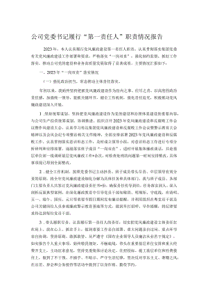 公司党委书记履行“第一责任人”职责情况报告.docx