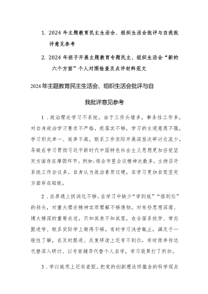 2024年主题教育民主生活会、组织生活会批评与自我批评意见素材及范文（新六个方面）两篇汇编.docx