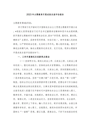3篇局党组2023年主题教育开展成效自查评估报告.docx