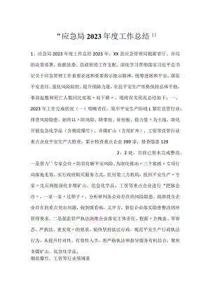 -应急局2023年度工作总结-.docx