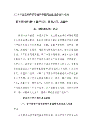 2024年度县政府领导班子专题民主生活会“新六个方面”对照检查材料（践行宗旨、服务人民、求真务实、狠抓落实等）范文.docx