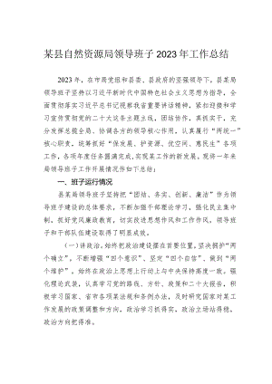 某县自然资源局领导班子2023年工作总结.docx