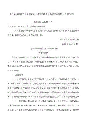 丽水市人民政府办公室印发关于支持丽水市电力高质量发展的若干意见的通知.docx