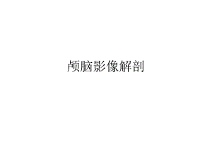 头颅影像解剖.ppt