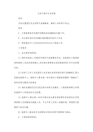 天然气锅炉应急预案.docx