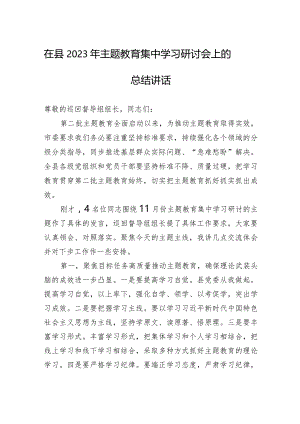 在县2023年主题教育集中学习研讨会上的总结讲话.docx