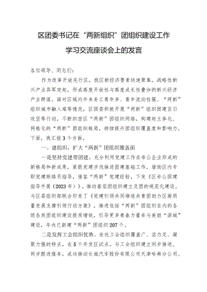 区团委书记在“两新组织”团组织建设工作学习交流座谈会上的发言.docx