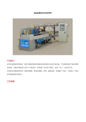 定量称重给料机皮带秤.docx