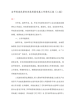全市促进民营经济高质量发展工作情况汇报（二篇）.docx