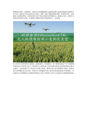 利用无人机图像检测小麦倒伏类型.docx