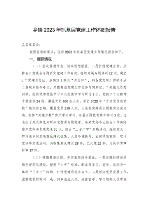 乡镇2023年抓基层党建工作述职报告.docx